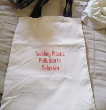 Canvas Tote Bags